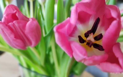 Schluss mit dem Winterblues: Mach Dich bereit für den Frühling!